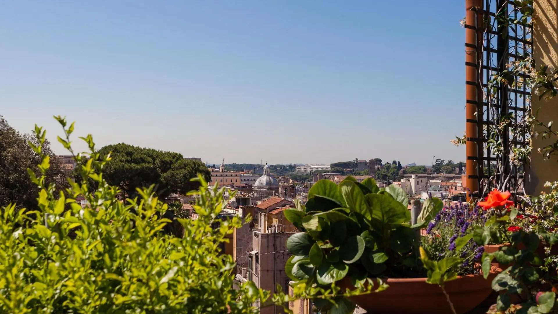 Treasurerome Daphne Terrace Appartement Rome